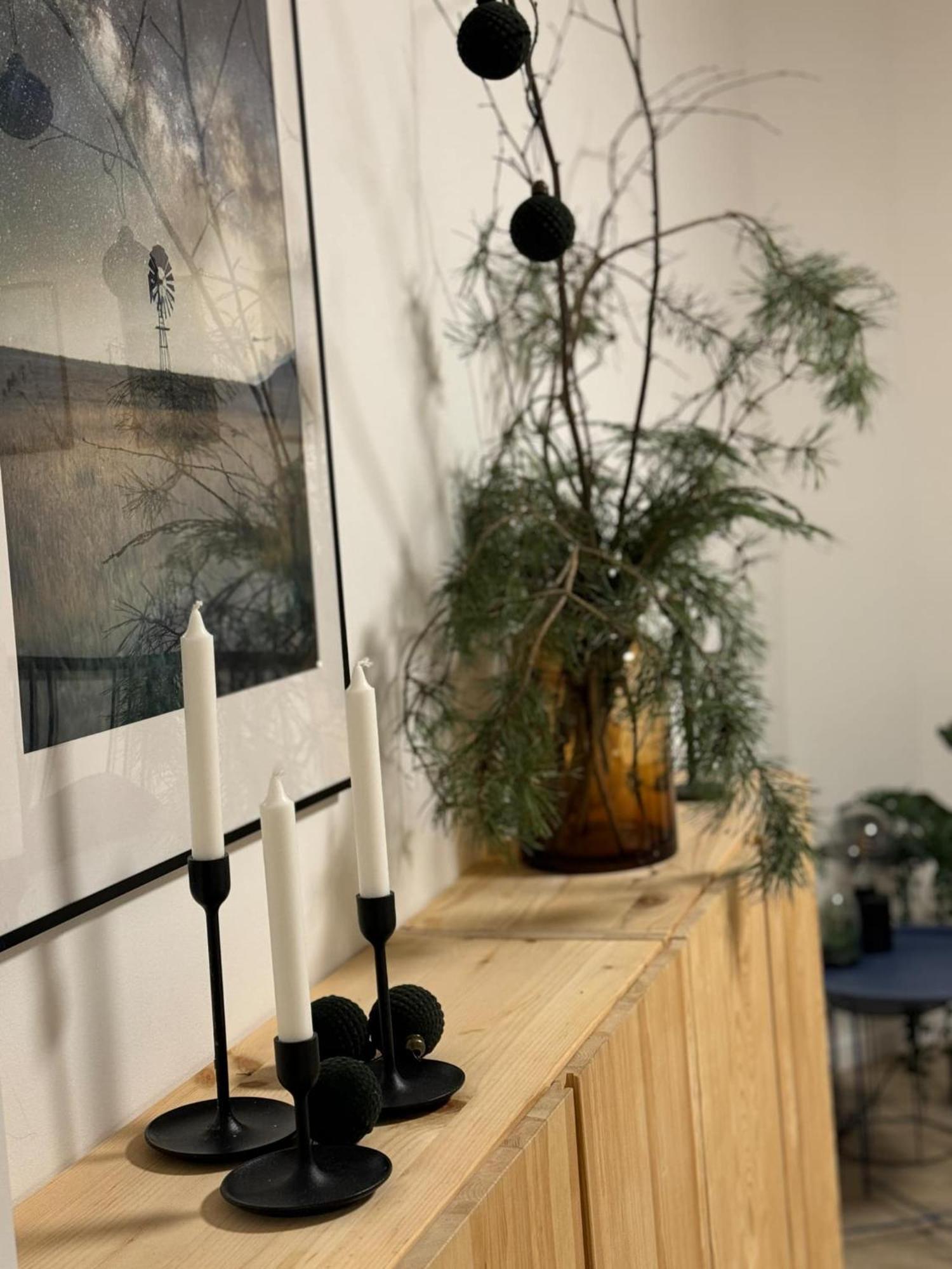 Apartmany Elli Mýto pod Ďumbierom Eksteriør billede